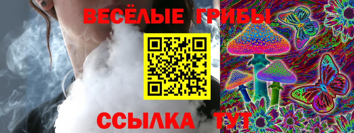 Галлюциногенные грибы Psilocybe Миасс